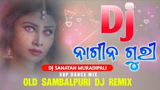 Dj ନାଗୀନ ଗୁରୀ  Nagin Guri  Old Sambalpuri dj Song  Dj Sanatan kisan [upl. by Farlee]