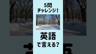 【これ全部英語で言える？】5問英会話｜寒い冬16～20 MimiListening 英語リスニング 英語聞き流し [upl. by Adalai239]