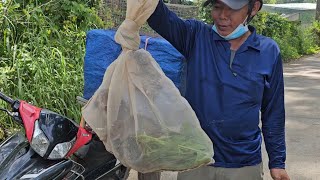 Đây Là Thành Quả Của Hai Anh Em Đi Cuốn Bẫy Lòng [upl. by Ledoux]