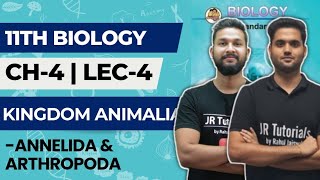 11th Biology  Chapter 4  Kingdom Animalia  Lecture 4  Annelida amp Arthropoda [upl. by Eastlake]