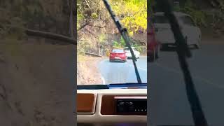 Travel  kerela road youtubeshorts trending ashortaday [upl. by Yatnwahs]