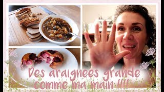 Vlog Famille du 24 mars  rôti de porc aux pruneaux et gâteaux ricotta amande et framboises [upl. by Arriek293]