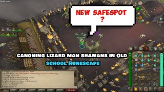 LIZARDMAN SHAMAN NEW SAFE SPOT CANNON GUIDE [upl. by Redford]