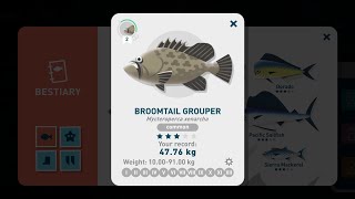 Creatures of the Deep  Broomtail Grouper [upl. by Alakam]