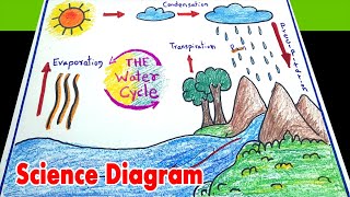 How to draw Water Cycle Diagram easy  Water Cycle project for primary classes [upl. by Oelc]