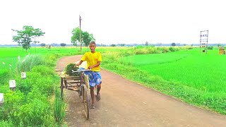 quotUnveiling the Daily Work Life of Indian Village Farmers in West Bengal Indiaquot [upl. by Fabriane]