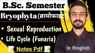 Life Cycle Of Bryophytes Funaria  Sexual Reproduction  Bsc Semester  By Dadhich Sir [upl. by Chew488]