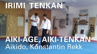 IRIMI und TENKAN mit AIKIAGE AIKITENKAN als Minimale Bewegung  Aikido Seminar Salzburg 2014 p5 [upl. by Wendelina266]