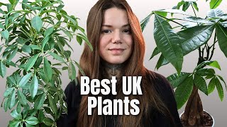 TOP 7 BEST UK HOUSEPLANTS  Easiest Indoor Plants To Grow In The UK [upl. by Leandro]