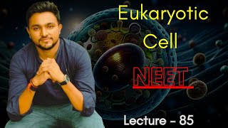 Eukaryotic Cell  Animal Cell  Plant Cell  Cell Biology  NEET  Vijaysir [upl. by Nie]