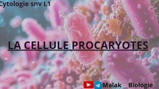 Cytologie  chapitre 1 quotcellule procaryotesquot 👉partie 2 [upl. by Ellivro]