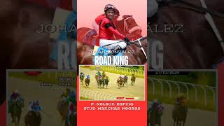 Road King Johan Gonzalez Valparaiso Sporting [upl. by Elockin]