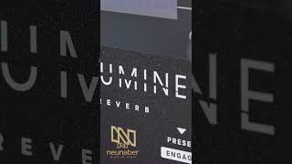 Neunaber Audio  ILLUMINE Reverb Small Darkroom SHORTS ILLUMINE Reverb [upl. by Olcott]