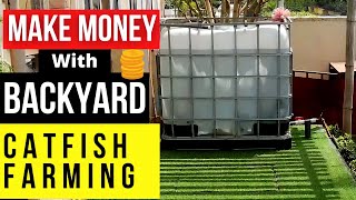 MAKE MONEY WITH BACKYARD CATFISH FARMING Simple Steps [upl. by Lekram]