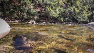 Fly fishing The Salmon River [upl. by Nilauqcaj]