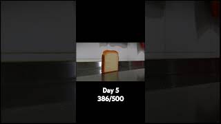 Proving bread can get 500 subs day 5 music [upl. by Lahey]