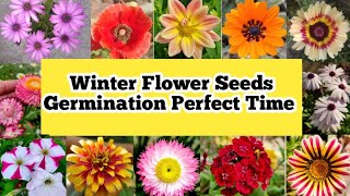 Winter Flower Seeds Germination Perfect Time  सर्दियों के फूलों के बीज लगाने का सही समय जानिए [upl. by Alberic]