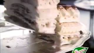 VIENNETTA from BREYERS  TV Commercial from the 1990s [upl. by Oisangi]