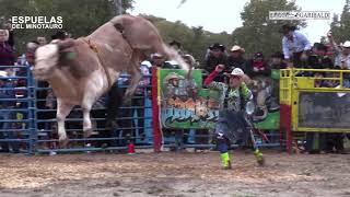 Chespirito Vs Chepe De Morelos  Tour Bárbaro Usa 2018 [upl. by Bartlett545]