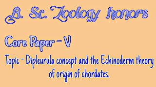 Dipleurula concept and the Echinoderm theory of origin of chordates [upl. by Rowan]