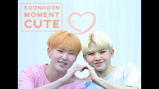 SOONHOON  Cute Moment [upl. by Iahc677]