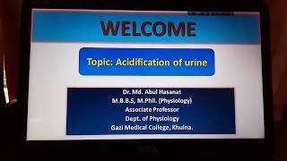 Acidification of urine [upl. by Sirahs640]