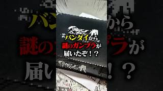 バンダイから超レアガンプラが送られてきた！？開封編！ガンダム ガンプラ gunpla gbwc スモークブラッククリア [upl. by Pilihp]