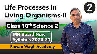 Life Processes in Living Organisms Part 2 Class 10th Part 2 [upl. by Naira]