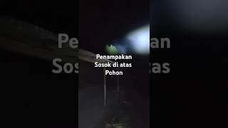 Penampakan sosok putih di atas pohon [upl. by Orual867]