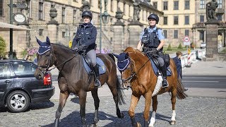 PolizeiReiterstaffel im Einsatz Mit Carlson und Quirl auf Streife [upl. by Brandi]