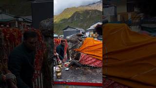 kedarnath mein bhole Baba ke darshan kedarnath shorts youtubeshorts ytshorts [upl. by Allenrad]