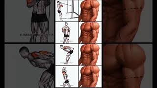 Arm Workout using Band [upl. by Nylirej147]