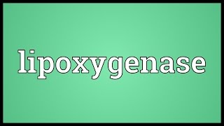 Lipoxygenase Meaning [upl. by Fonz]