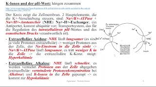 Hyperkaliämie und Hypokaliämie Kalium und der pHWert [upl. by Preuss]