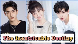 The Inextricable Destiny  Chinese Drama [upl. by Enos]