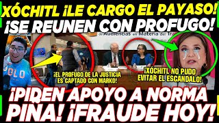 AMLO ¡SE CAE CANDIDATURA DE XÓCHITL CACHAN A PANISTA PROFUGO ¡NORMA PIÑA SALE AL QUITE [upl. by Iel]