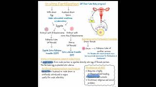 Invitro fertillization IVF detail process 🔵 chemistry cellbiology biology cellularbiology aww [upl. by Primaveria]