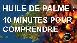 HUILE DE PALME  10 MINUTES POUR COMPRENDRE [upl. by Harwell]