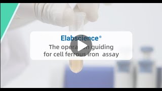 The Operation Guiding for Cell Ferrous Iron Colorimetric Assay Kit [upl. by Ahsekyt]