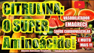 🍉🥒CITRULINA Benefícios  O SUPER AMINOÁCIDO  Vasodilatador citrulina alimentacaosaudavel🎃 [upl. by Ahsem866]