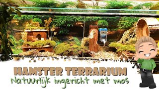 🐹💚 Hamster Kooi Inrichten 19 Met Hout en mos [upl. by Perry747]