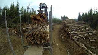 Chantier Jonathan été 2016 parc de la gaspesie [upl. by Nnaegroeg998]