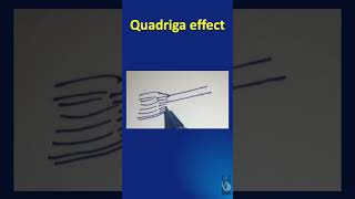 Shorts  115 The Quadriga effect  Explained in just 1 minute [upl. by Ellinad]