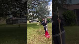 My peach lived after hurricane MILTON hurricanemilton hurricaneseason gardening [upl. by Sarazen]