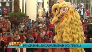 Barongsai Bhinneka Tunggal Ika Pesan untuk Persatuan [upl. by Evangelist]