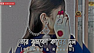 Tor Jhumko Kaner Dul☺❤।।Slowed amp Reverb💕💕💕 [upl. by Acnoib]