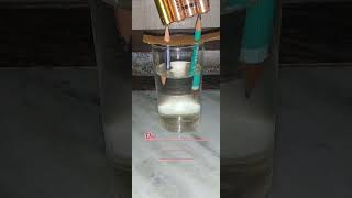 Electrolysis of water  Science experiment  experiment [upl. by Hambley82]