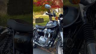 Kawasaki W800 [upl. by Shippee]