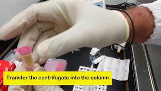 Plant RNA Extraction with Qiagen RNEasy Kit and Subtitles [upl. by Omor524]