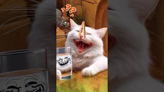 Tom sings drink sewer rat water brought by cat [upl. by Kolk845]